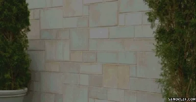 Pay Wall