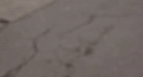 watch.gif